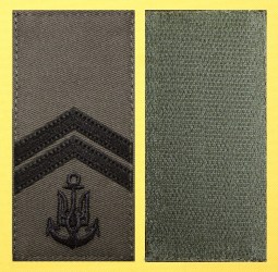 Старшина 2 статті зел